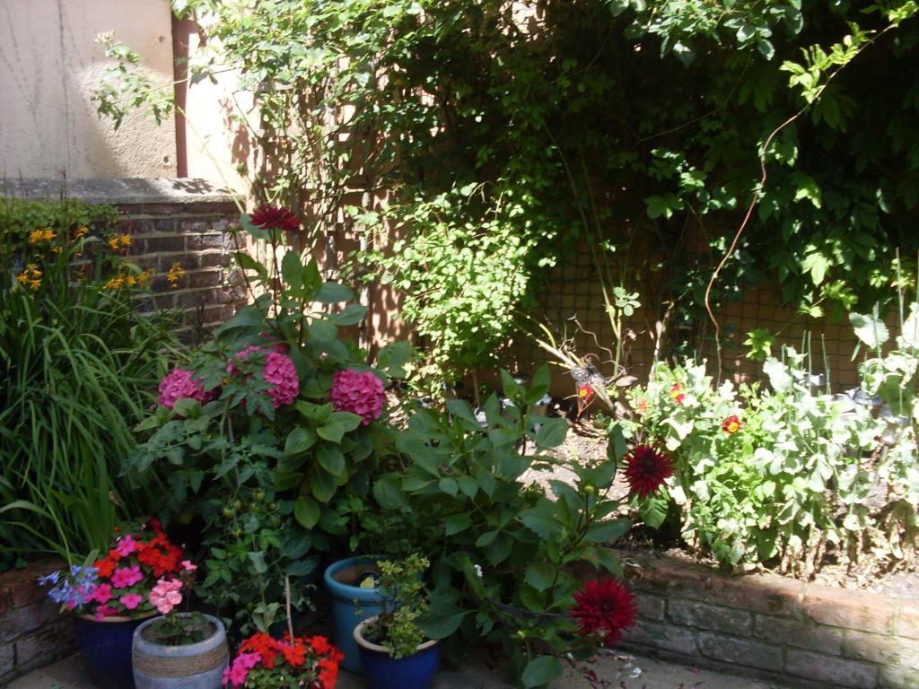 Cambridge House Guest House Tournoi d'Tournoi d'Eastbourne Chambre photo