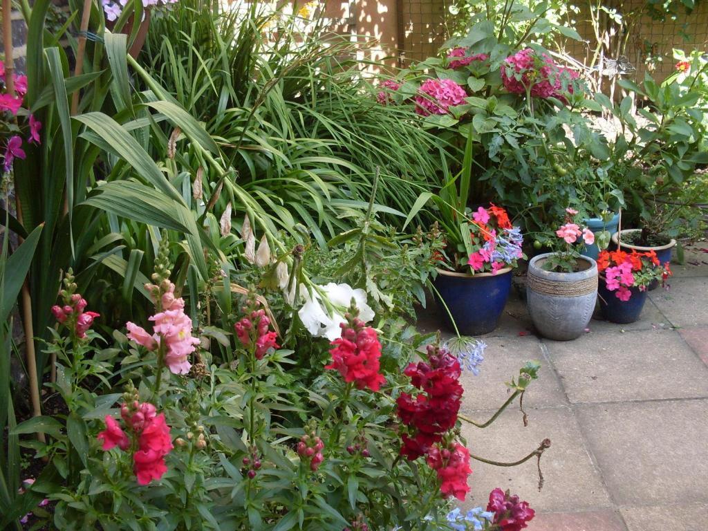 Cambridge House Guest House Tournoi d'Tournoi d'Eastbourne Chambre photo